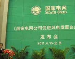 国家电网公司发布白皮书 风电消纳将超9000万千瓦