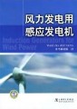 《风力发电用感应发电机》¥40元