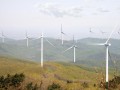 中广核风力发电有限公司投资11亿元建设风力发电项目