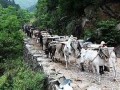 信阳供电公司大力服务风电项目建设