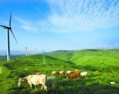 三门峡黄河风电场建成投产