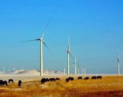 “中国应调整风电发展道路”