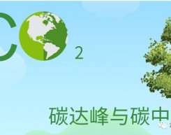 最高补贴1000万！首个“碳达峰”补贴来了！