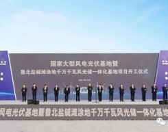 国家大型风电光伏基地暨鲁北盐碱滩涂地千瓦风光储一体化基地项目开工