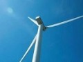 多地加速废止圈而不建风光项目