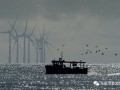 日本第二轮海上风电拍卖结束，1.8GW项目结果最快今年底公布