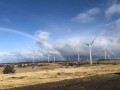 达6481.24万千瓦时！澳大利亚牧牛山风电项目月发电量创新高