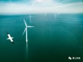 壳牌和埃尼科合资公司与荷兰海上风电承包商vanOord携合作生态海上风电场