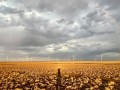 东方风电中标国内首个10兆瓦陆上大型风电机组批量订单