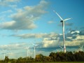 德国风能2023年总装机容量同比增长48.3%