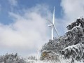 三大技术加持 株洲造风电叶片无惧冰雪