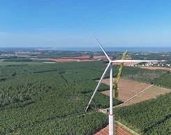 185米！全球最高混塔风电机组吊装成功