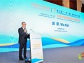 金风科技吴凯：中国风电应实现“有质量的出海”