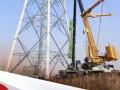 全球首台6.25M-204-185米高构架式风塔塔架在黑龙江省勃利县顺利落成