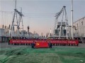 零的突破！中广核天津宁风风电项目、宁龙风电项目、宁风光伏项目升压站一次带电成功