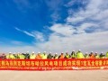 中亚最大风电项目全容量并网发电