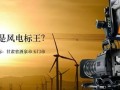 154台风机！1000MW项目招标打开西部能源新格局！