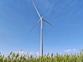 三一重能再创奇迹！186米混塔风电机组吊装成功，全球排名第二！