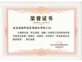 风电标准四十载里程碑！运达能源获颁“卓越贡献奖”，牵头制定300项标准引领中国技术出海
