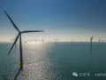 法国1GW海上风电项目招标无人问津！奥莱龙岛海域开发遇冷