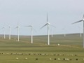 1.9GW！内蒙古一次性核准7大风电项目，通辽、牙克石、阿拉善等地迎来新机