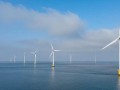 500MW！三峡能源大连深远海风电项目启动可研招标
