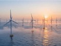 单机18MW！中广核汕尾红海湾三海风项目启动EPC招标，深远海大机型时代加速到来