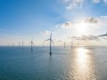 三峡600MW深远海风电项目启动招标