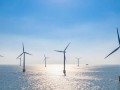 中海油研究总院4317万中标！汕尾红海湾四500MW海上风电示范项目初设落定
