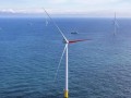荷兰760MW海上风电项目首度并网发电，首创“红叶片”守护鸟类迁徙