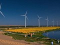 2.4GW！国神集团史上最大新能源项目在哈密成功赋码备案