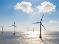 20MW大机批量化落地!瑞安2号600MW海风项目环评过审在望