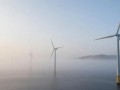 瑞典风电“国防划线”:核准1.1GW双项目,驳回11个申请并转向拍卖制