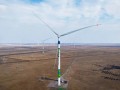 单体最大!中国能建肇东300MW风电项目接入系统获批