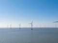 华能营口700MW海上风电EPC落槌，电建华东院、中南院近40亿包揽