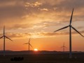 超560MW！大唐两大风电项目风机采购中标候选人公示