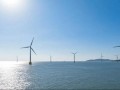 500MW深远海大单落地！中广核汕尾红海湾三海上风电项目用海获批、EPC定标