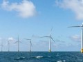 1.3GW！Pacifico Energy再获越南海上风电勘测许可