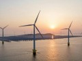 200MW!中广核海上"风光同场"项目重启EPC招标