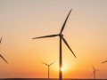 310MW！国能沧州两风电项目同日启动招标