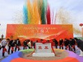 80台6.25兆瓦风机落地冰城，宾县500兆瓦风电项目开工