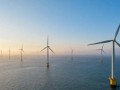 5年新增1470万千瓦！国家电投海南60万千瓦海风项目前期招标开标