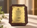 唯一！远景能源斩获风电叶片类一等奖，揭秘超长柔性叶片全链条硬核实力